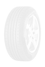 MINERVA FROSTRACK UHP 205/55R16 94H