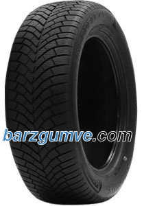 DOUBLECOIN DOUBLE COIN DASP + 205/50R17 93W
